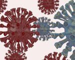 Coronavirus image for Department of Public Health and Primary Care
